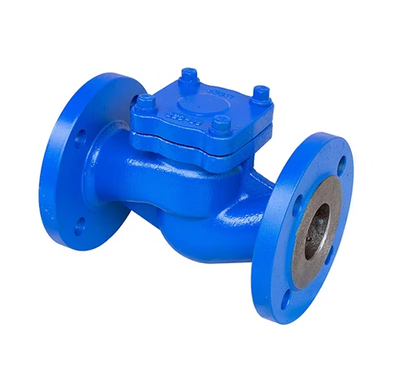 DIN Cast Iron Flanged Lift Check Valve