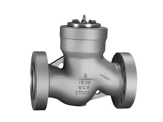 Heavy-Duty Stainless Steel Lift Check Valve for Fluids